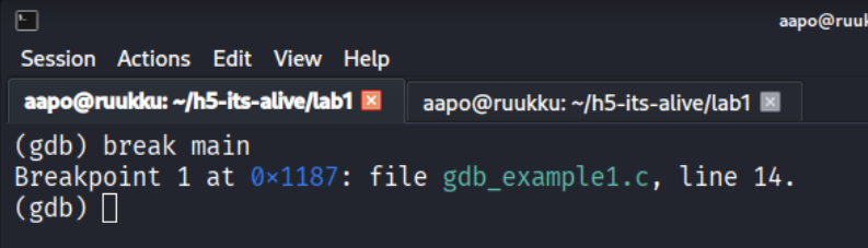 Break main funktiossa